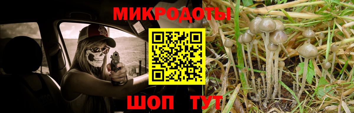 Псилоцибиновые грибы Psilocybe  Вход с VPN  Чайковский 